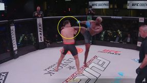 Nokaut w 3 sekundy. Sceny w klatce [WIDEO]