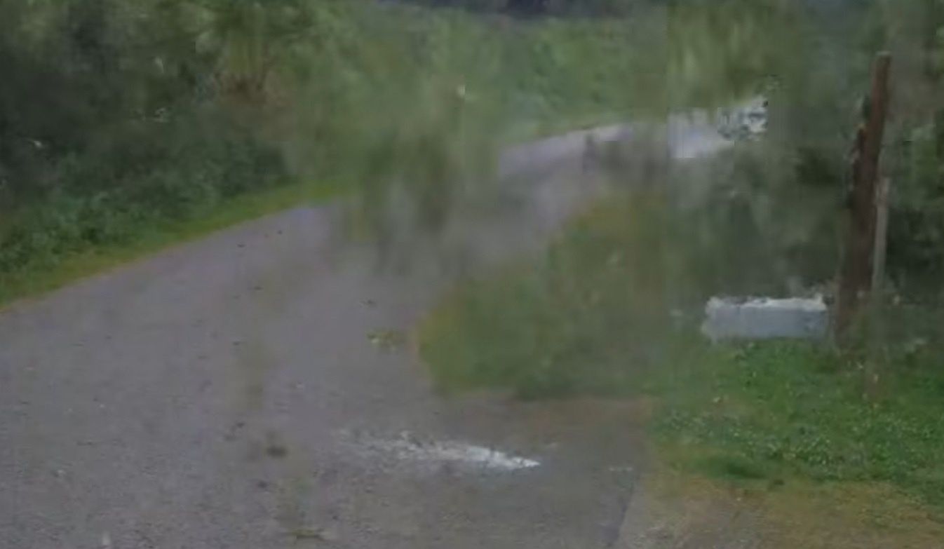 Leśnicy pokazują nagranie podczas burzy