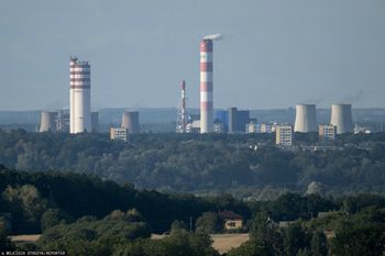 Branża alarmuje ws. planów Brukseli. "Niszczenie własnego przemysłu"