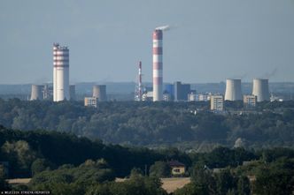 Branża alarmuje ws. planów Brukseli. "Niszczenie własnego przemysłu"