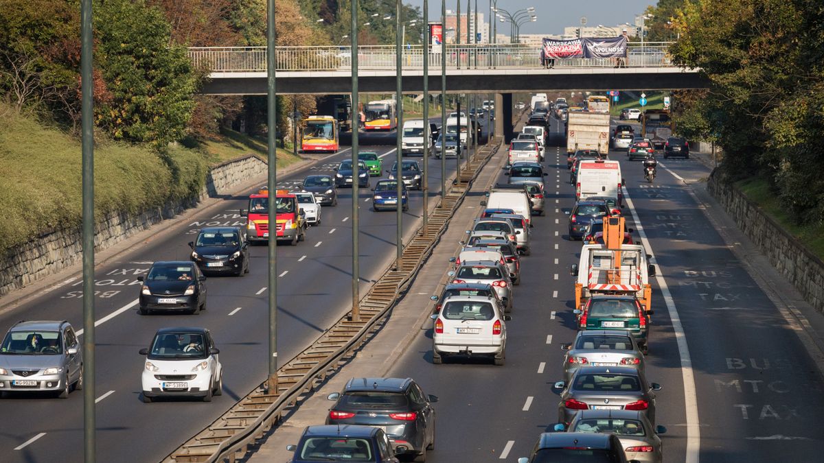 Jakich samochodów jest w Polsce najwięcej? To dość trudne pytanie, na które nawet CEPiK nie odpowiada.