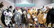 Poznań: Cavaliada. Kucyki, hobby horse i tłumy odwiedzających