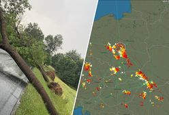 Powalone drzewa, zalane ulice. Burzowy front nad Polską