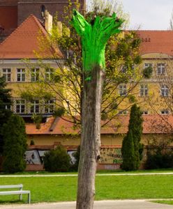Wrocław. Sympozjum 70/20. Wspomnienia sprzed półwiecza. Artyści przypominają kongres z 1970 roku