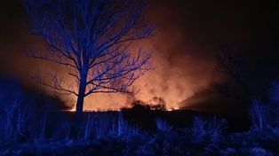 Dobryniów: Rozległy pożar traw. W akcji liczne zastępy straży pożarnej