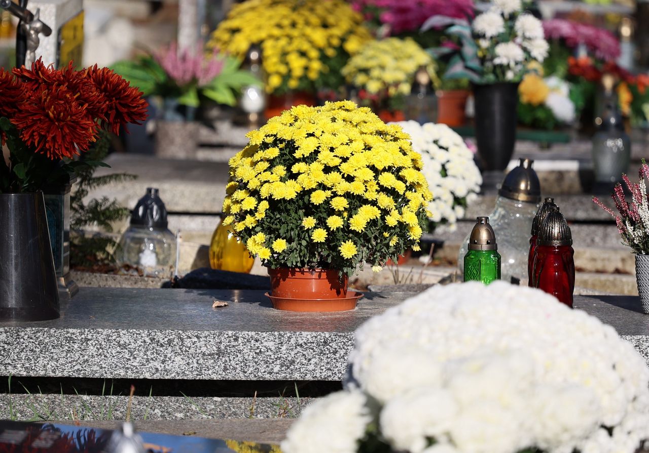 How to extend the durability of flowers at the cemetery?