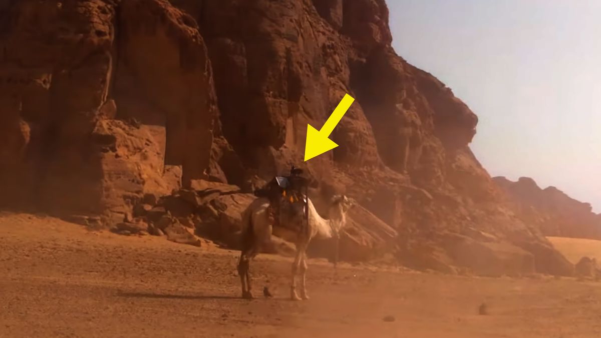 Wielbłąd z aparatem podróżuje po Arabii Saudyjskiej. Co to za akcja? 1