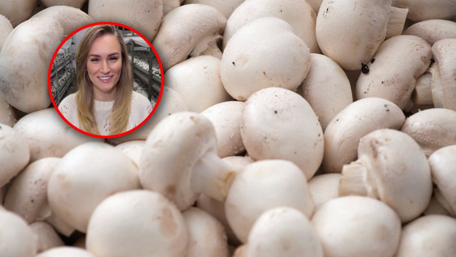 Kamila Boś wyjaśniła jak przygotować pieczarki