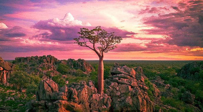 Kimberley: Dziki Zachód Australii