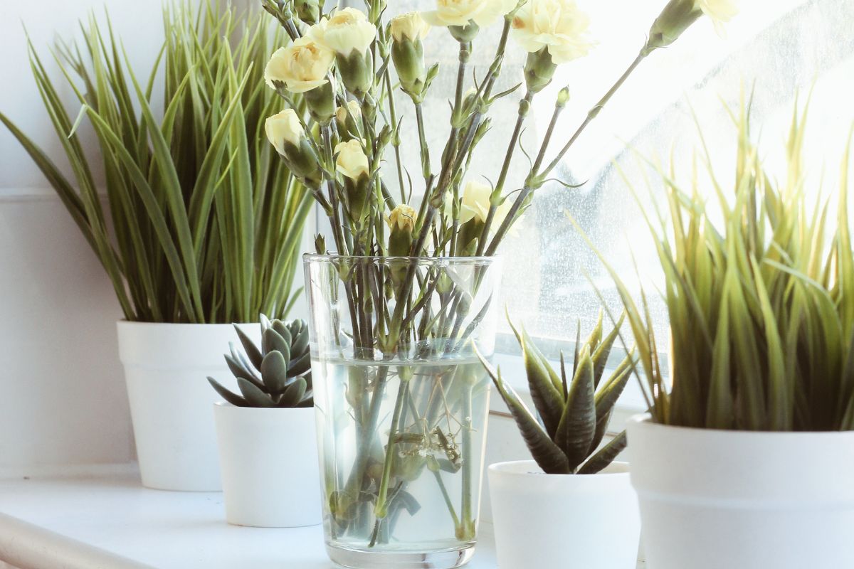 The most popular decorative element for windows are potted plants.