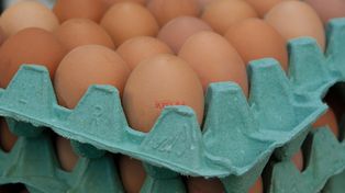 Aż 14,4 mld szt. Eksportują z Polski na potęgę. Padł rekord produkcji