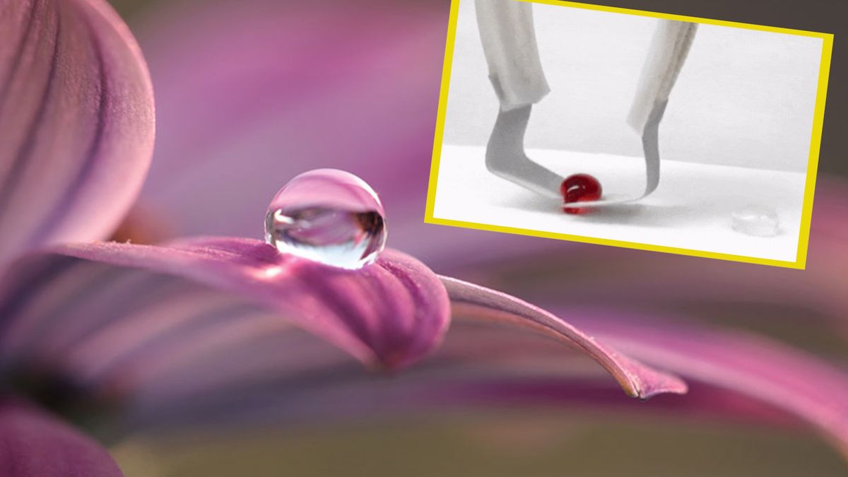 Powłoka hydrofobowa na kwiecie i na szczypcach robota