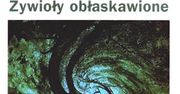 Kuzynki