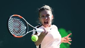 WTA Stuttgart: Halep pierwszą ćwierćfinalistką. W niedzielę Kvitova, w środę Kerber