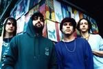 Gaspar Noé kręci dla Animal Collective