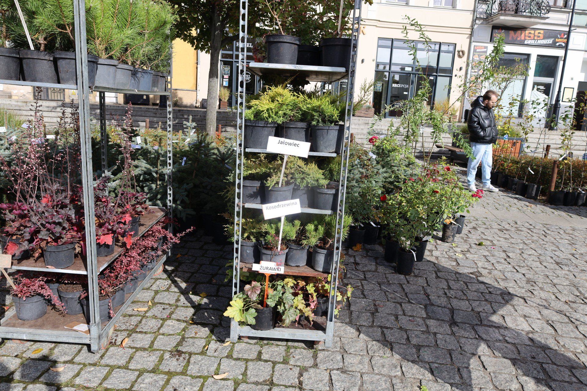 &#34;Rośliny dla klimatu&#34; na gnieźnieńskim Rynku. Mieszkańcy wymieniali makulaturę na sadzonki