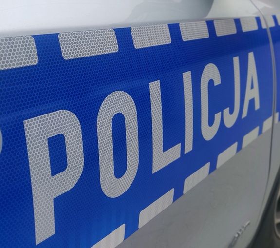 Brutalna śmierć suczki w Tomaszowie – podejrzenie zabicia siekierą