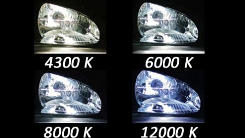 Zdjęcie ilustracyjne do artykułu