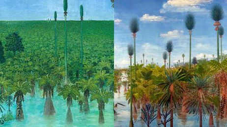 Archeolodzy odkryli w Chinach nienaruszony las sprzed 298 milionów lat 1