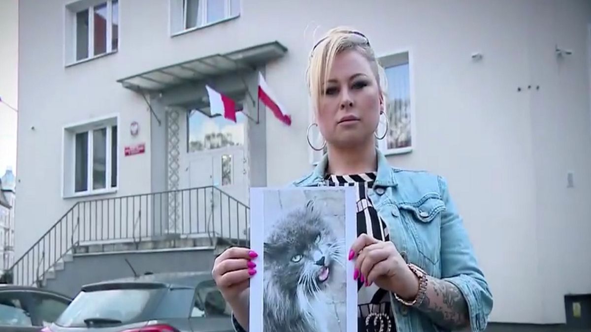 Przygarnęła kota. Teraz grozi jej do 5 lat więzienia