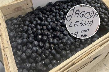 Cena za jagody przyprawia o zawrót głowy. Ale ekspertka ostrzega
