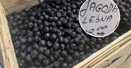 Cena za jagody przyprawia o zawrót głowy. Ale ekspertka ostrzega