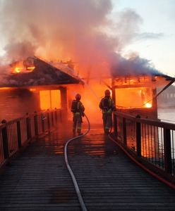 Tragiczny pożar w zoo w Borysewie. Zginęły małpy i papugi