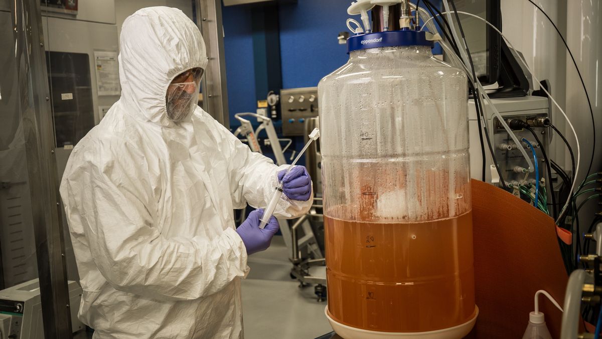 koronawirus odkrycie