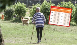 Te inne emerytury. Projekty są w Sejmie. Ile mogą wynieść świadczenia?