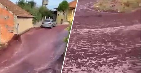 Wino wylało się na ulice. Pękły zbiorniki w Portugalii