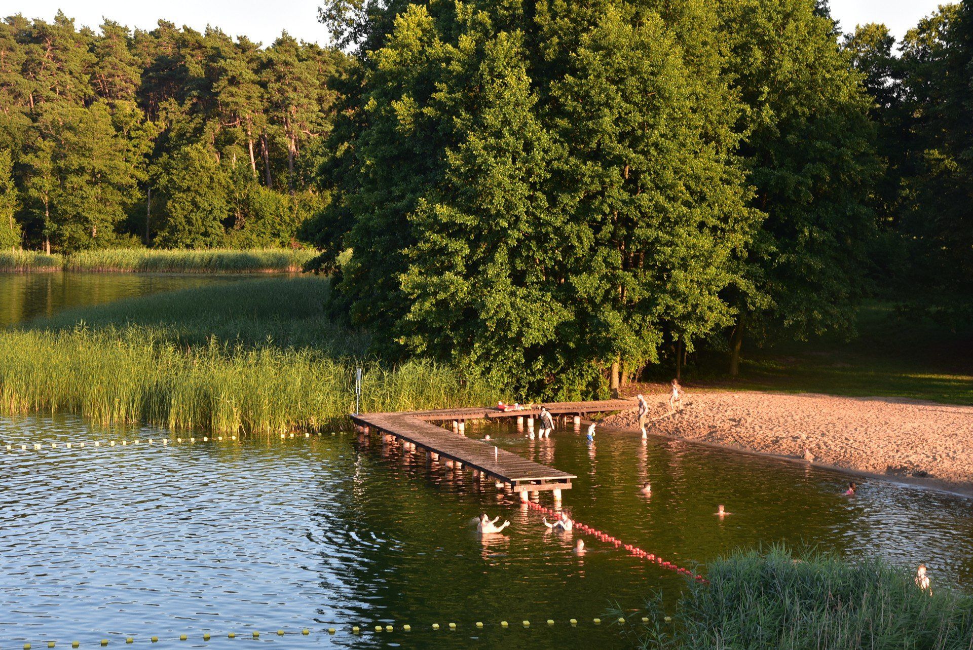 Plaża w Kobylcu