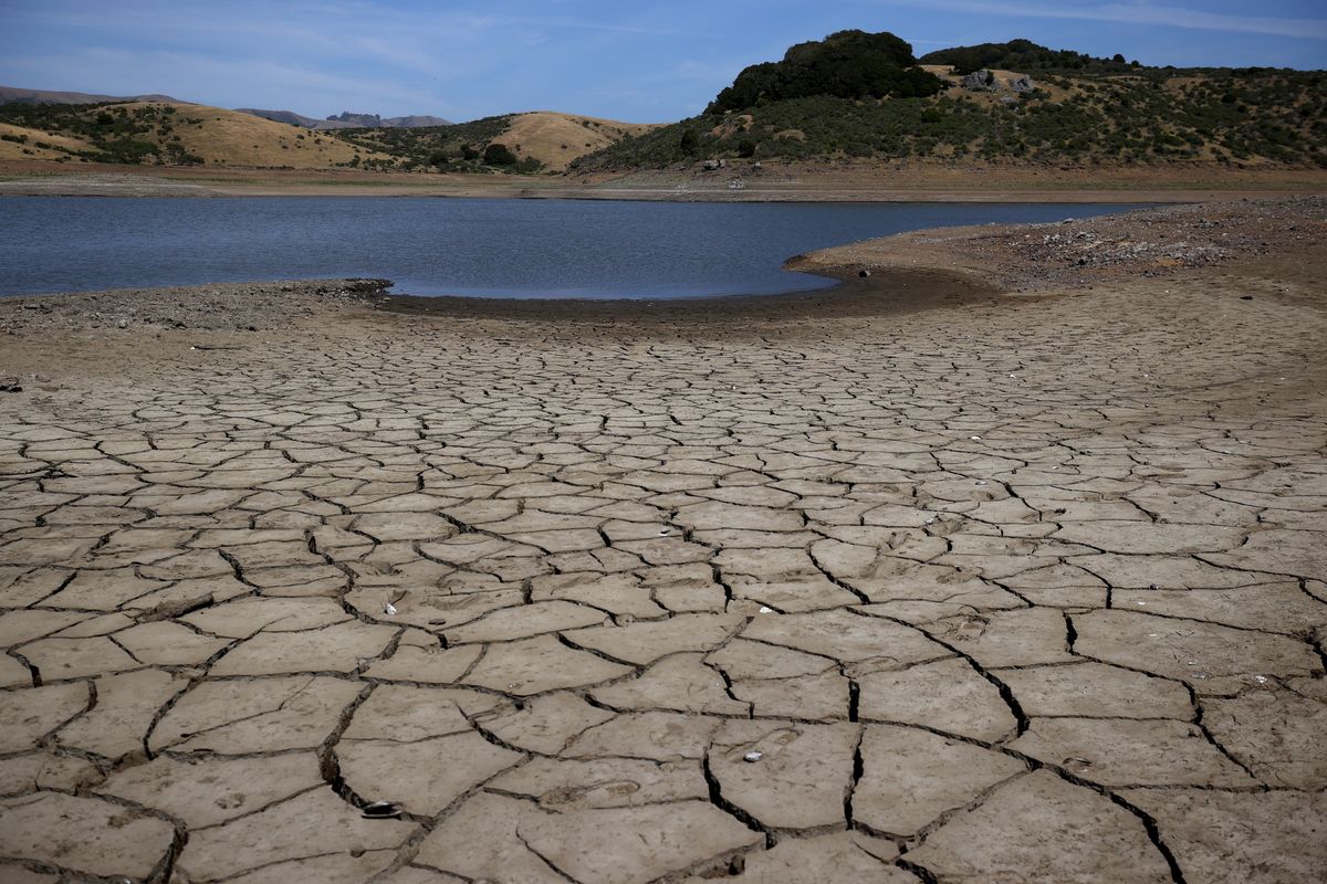 Zmiany klimatu. Trzy scenariusze dla Ziemi  (Photo by Justin Sullivan/Getty Images)