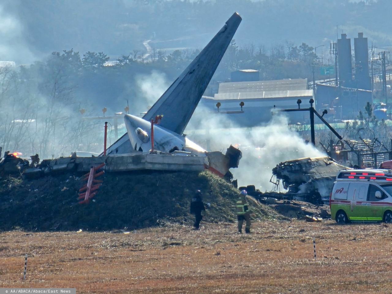 Jeju Air tragedy: Bird strike suspected in fatal crash