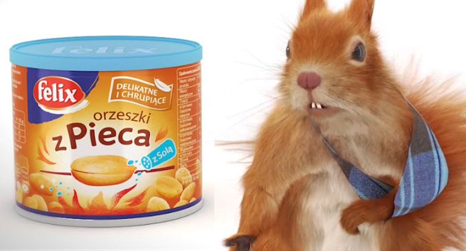 Pretensje kontuzjowanej wiewiórki w reklamach orzeszków Felix (wideo)