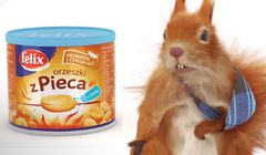 Pretensje kontuzjowanej wiewiórki w reklamach orzeszków Felix (wideo)