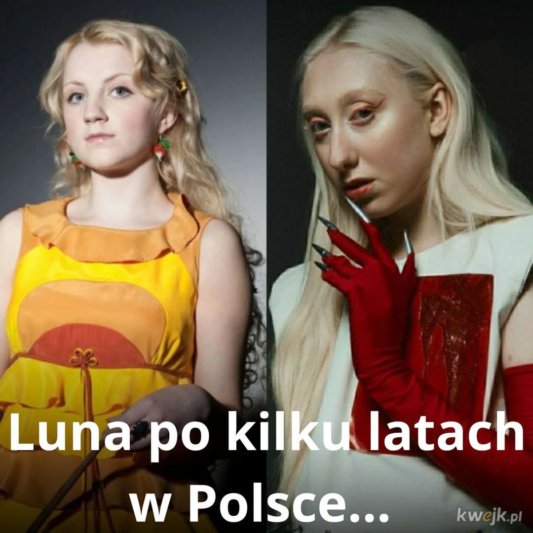 Najlepsze memy o Lunie