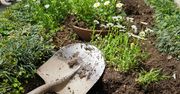 Toruń: Miasto szykuje się na wiosnę. Trwają intensywne prace