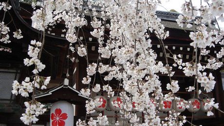 Xbox 360 (jeszcze...) tańszy w Japonii! 1