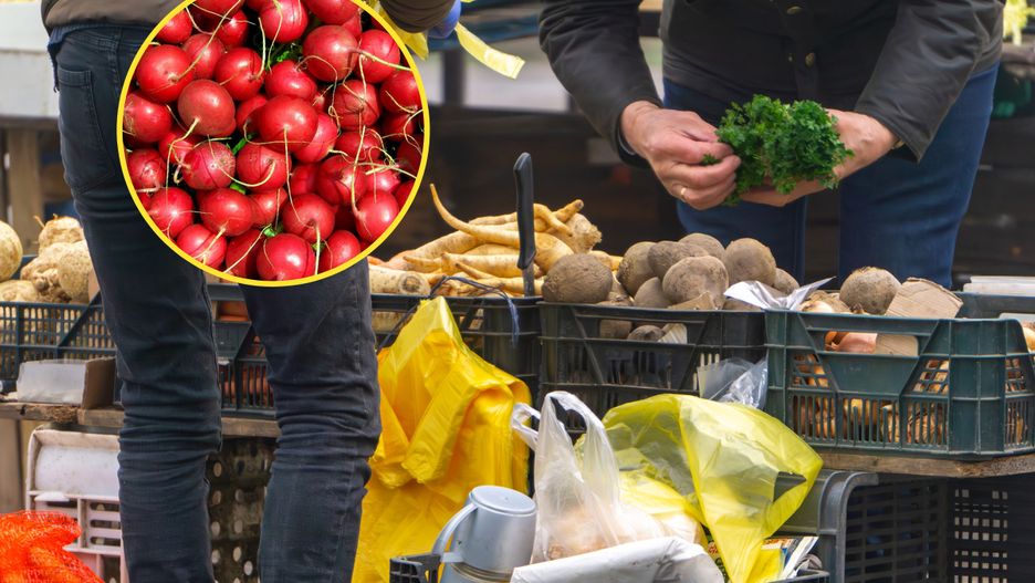 Czy można podawać dzieciom nowalijki?