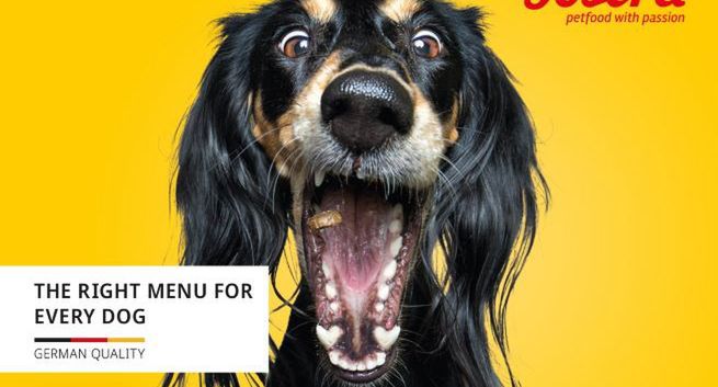 K+PR z nowym klientem na rynku polskim i niemieckim. Agencja pozyskała Erbacher the food family