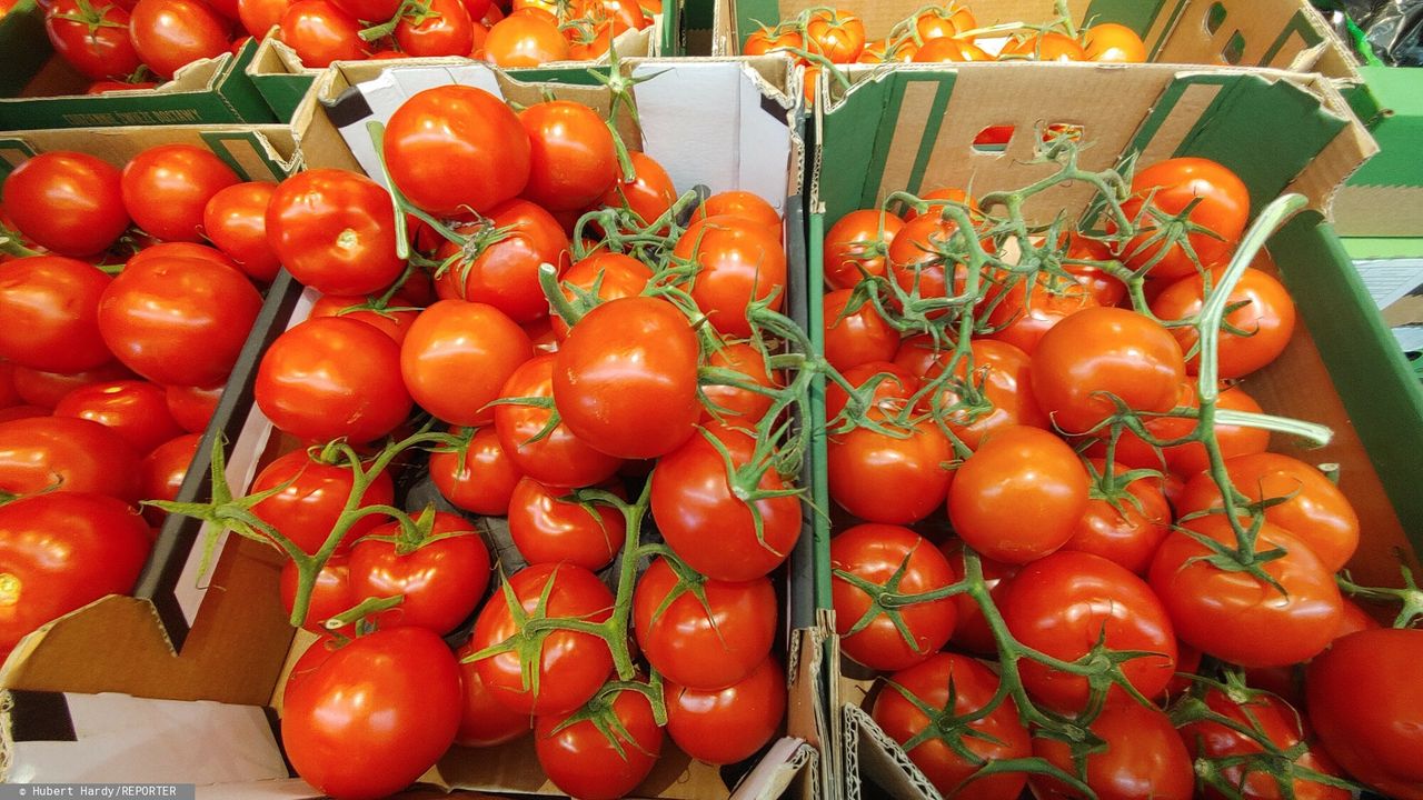 Przebadali pomidory malinowe z dyskontów. To w nich wykryli