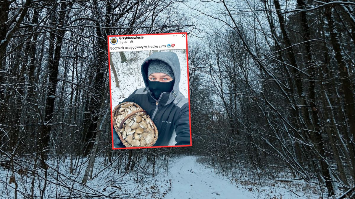 Pokazał koszyk pełen grzybów