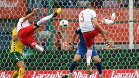 Euro 2016. Jaka ta Polska? Niemcy zdezorientowani