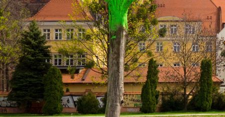 Wrocław. Sympozjum 70/20. Wspomnienia sprzed półwiecza. Artyści przypominają kongres z 1970 roku