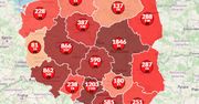 Koronawirus w Polsce. Liczba zarażonych przekroczyła 8 tysięcy. Sprawdź aktualne dane [Mapa]
