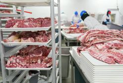 Dramat Argentyńczyków w Częstochowie. Nieludzkie warunki pracy