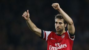 Były piłkarz Arsenalu blisko Crystal Palace