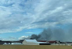 Ogromny pożar na Podlasiu. Spłonęło kilkadziesiąt krów