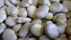 Pojawił się już polski bób, ale ekspert odradza kupowanie. "Radziłbym się chwilę wstrzymać"