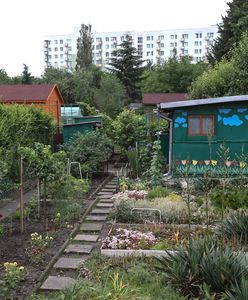 Rosnąca liczba Polaków tak żyje. Kosztuje ich to 1000 zł na rok